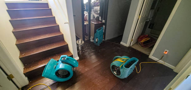 24/7 water damage repair in CO