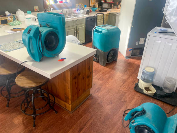 Best Water damage restoration near me  in El Jebel, CO