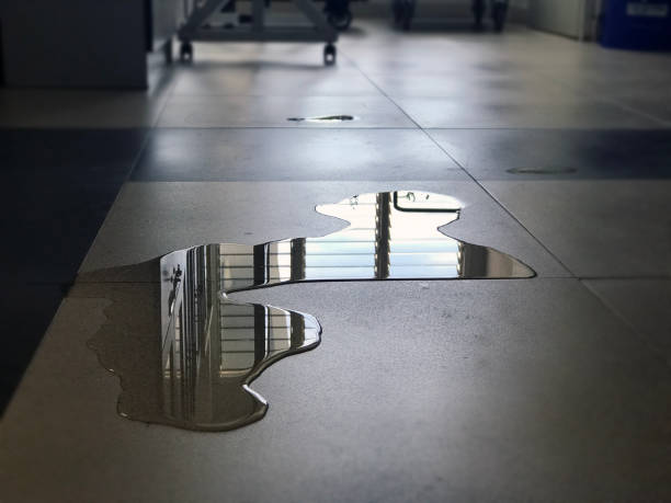 Best 24/7 water damage repair  in El Jebel, CO