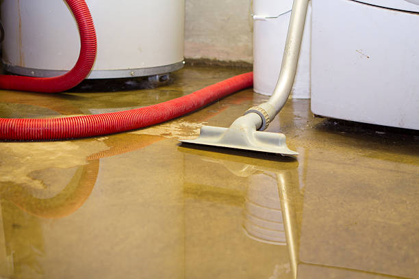Best Water damage restoration company  in El Jebel, CO