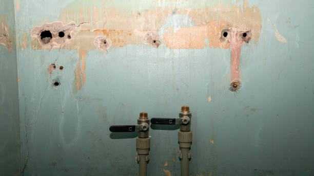 Best Residential water damage restoration  in El Jebel, CO