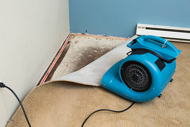 Best Commercial water damage restoration  in El Jebel, CO